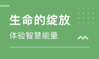 深圳新励成教育怎么样 深圳新励成教育 课程价格